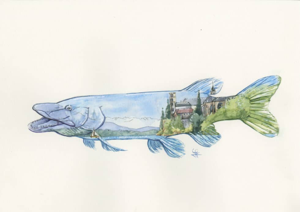 Brochet du Lac du Bourget