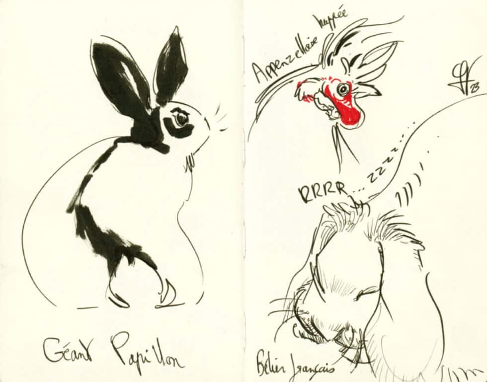 Animaux au Concours Avicole d'Albens